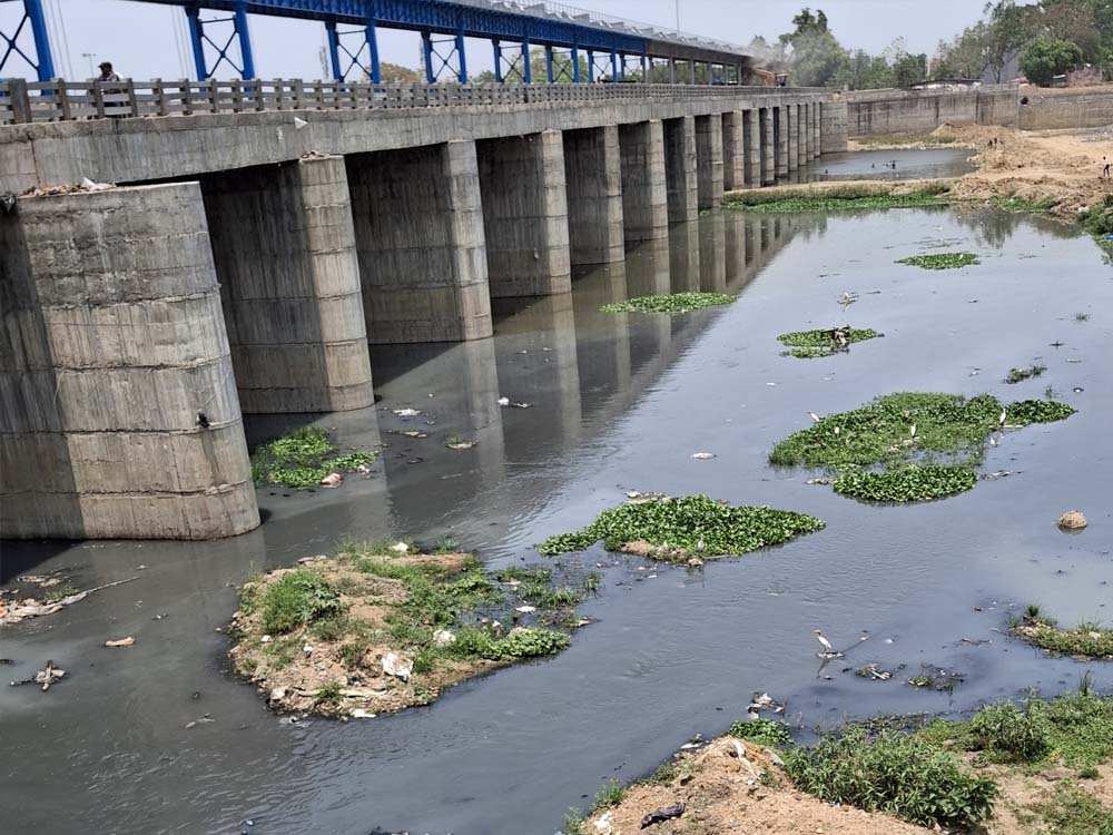 अरपा नदी प्रदूषण पर हाईकोर्ट का सवाल, 70 नालों के लिए सिर्फ 4 STP क्यों?