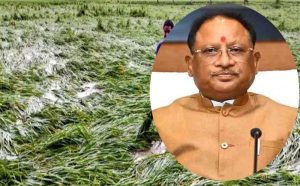 चक्रवात ‘अर्नब’ से प्रभावित किसानों को राहत, CM साय ने शीघ्र मुआवजा देने के दिए निर्देश