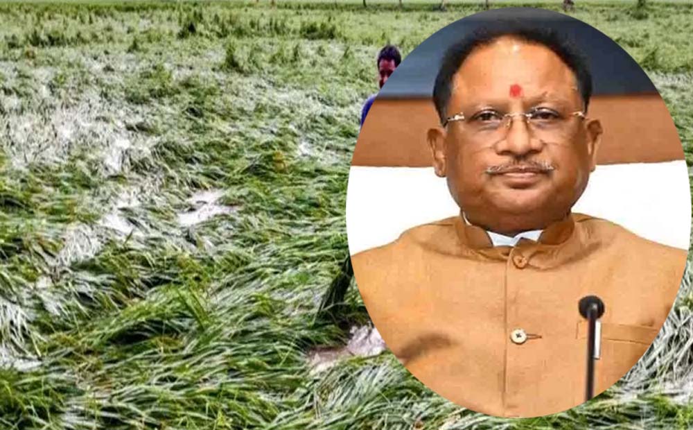 चक्रवात ‘अर्नब’ से प्रभावित किसानों को राहत, CM साय ने शीघ्र मुआवजा देने के दिए निर्देश चक्रवात ‘अर्नब’ से प्रभावित किसानों को राहत, CM साय ने शीघ्र मुआवजा देने के दिए निर्देश