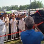 हरियाणा का 15 करोड़ का ‘विधायक’ बना चर्चा का विषय, खुराक में खाता है काजू-बादाम