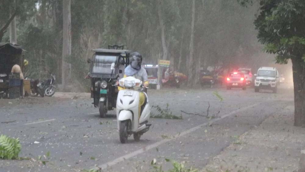 हरियाणा में बदला मौसम का मिजाज, 5 जिलों में बारिश की चेतावनी; पंचकूला में ओलावृष्टि