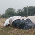 MP Crime: सतना में किसान पर जानलेवा हमला, गला रेतकर लूटे जेवर, हमले में पांच लोग गंभीर