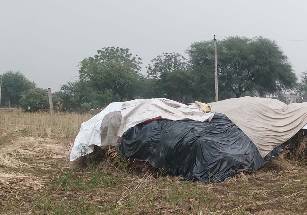 MP Crime: सतना में किसान पर जानलेवा हमला, गला रेतकर लूटे जेवर, हमले में पांच लोग गंभीर