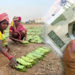 MP में तेंदूपत्ता संग्राहकों को सौगात, 8.66 लाख परिवारों को बोनस बांटने पहुंचे CM मोहन यादव
