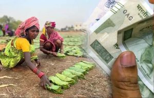 MP में तेंदूपत्ता संग्राहकों को सौगात, 8.66 लाख परिवारों को बोनस बांटने पहुंचे CM मोहन यादव