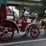 स्मार्ट सिटी चंडीगढ़ में नई पहल, घर तक मिलेगी सरकारी ई-रिक्शा सेवा