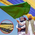 पंजाब के 9 डिपो से शुरू हुई 100 मिनी बसों की सेवा, गांवों तक बेहतर होगी कनेक्टिविटी