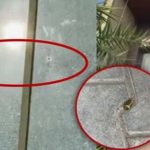 पंजाब के लुधियाना में दिनदहाड़े फायरिंग से हड़कंप, वीजा कंसल्टेंट का ऑफिस बना निशाना