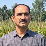 उन्नत टमाटर की खेती से शाहिद की मेहनत लाई रंग, 2 एकड़ में कमाए 1.20 लाख रुपये उन्नत टमाटर की खेती से शाहिद की मेहनत लाई रंग, 2 एकड़ में कमाए 1.20 लाख रुपये