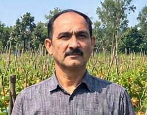 उन्नत टमाटर की खेती से शाहिद की मेहनत लाई रंग, 2 एकड़ में कमाए 1.20 लाख रुपये उन्नत टमाटर की खेती से शाहिद की मेहनत लाई रंग, 2 एकड़ में कमाए 1.20 लाख रुपये