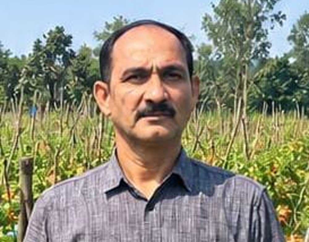 उन्नत टमाटर की खेती से शाहिद की मेहनत लाई रंग, 2 एकड़ में कमाए 1.20 लाख रुपये उन्नत टमाटर की खेती से शाहिद की मेहनत लाई रंग, 2 एकड़ में कमाए 1.20 लाख रुपये