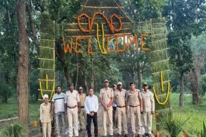 ताला, मगधी और खितौली गेट खुले, पहले दिन बाघिन के दीदार से पर्यटकों में उत्साह