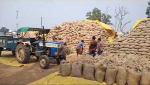 धान बेचने के लिए अब सोसायटियों में लंबी कतारों की जरूरत नहीं, ‘तुंहर टोकन’ एप से घर बैठे मिलेगा टोकन