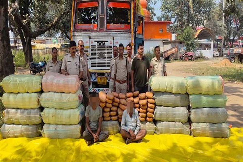 शहडोल में ट्रक से 735 किलो से अधिक गांजा जब्त, दो आरोपी गिरफ्तार