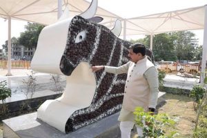 आशीर्वाद का दीया आयोजन के तहत उपयोग किए गए दीयों से बनी नंदी की भव्य आकृति आशीर्वाद का दीया आयोजन के तहत उपयोग किए गए दीयों से बनी नंदी की भव्य आकृति