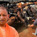 सीएम योगी के विजन के अनुरूप गो आधारित उत्पादों को बाजार से जोड़ने की तैयारी