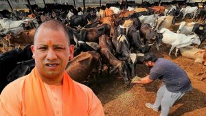 सीएम योगी के विजन के अनुरूप गो आधारित उत्पादों को बाजार से जोड़ने की तैयारी