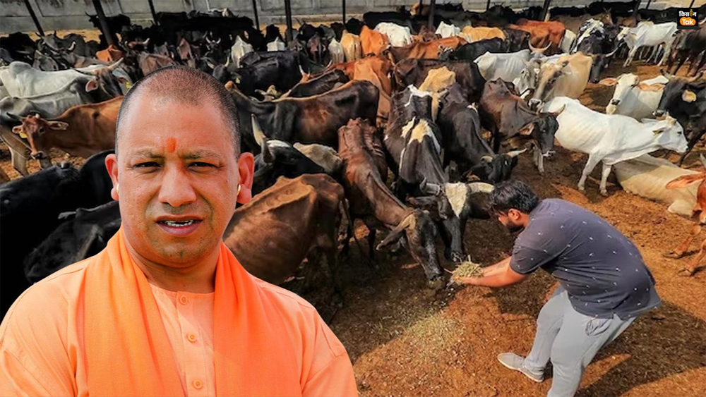 सीएम योगी के विजन के अनुरूप गो आधारित उत्पादों को बाजार से जोड़ने की तैयारी
