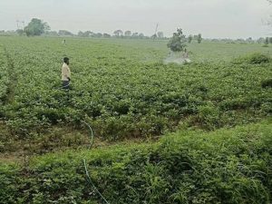 विज्ञान एवं प्रौद्योगिकी विभाग की पहल पर दो दिवसीय स्पेस एप्लीकेशंस एडॉप्शन वर्कशॉप सफलतापूर्वक संपन्न विज्ञान एवं प्रौद्योगिकी विभाग की पहल पर दो दिवसीय स्पेस एप्लीकेशंस एडॉप्शन वर्कशॉप सफलतापूर्वक संपन्न