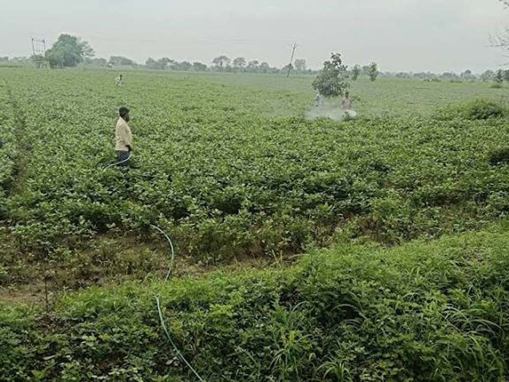 विज्ञान एवं प्रौद्योगिकी विभाग की पहल पर दो दिवसीय स्पेस एप्लीकेशंस एडॉप्शन वर्कशॉप सफलतापूर्वक संपन्न विज्ञान एवं प्रौद्योगिकी विभाग की पहल पर दो दिवसीय स्पेस एप्लीकेशंस एडॉप्शन वर्कशॉप सफलतापूर्वक संपन्न
