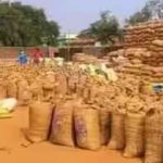 15 नवम्बर से शुरू होगी धान खरीदी, 27.50 लाख से अधिक किसानों से ₹3100 प्रति क्विंटल की दर से खरीदा जाएगा धान 15 नवम्बर से शुरू होगी धान खरीदी, 27.50 लाख से अधिक किसानों से ₹3100 प्रति क्विंटल की दर से खरीदा जाएगा धान