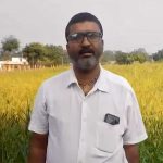 धान की जगह रागी की खेती से दिनेश को मिलेगा 10 हजार रुपये का प्रोत्साहन