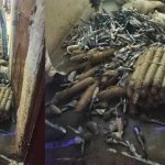 ग्वालियर में अवैध पटाखों पर पुलिस की कार्रवाई, विस्फोटक सामग्री के साथ दो आरोपी पकड़े