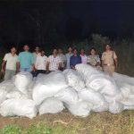 नीमच एवं धार में आठ खेतों में अवैध गांजे की खेती का पर्दाफाश, 34 क्विंटल से अधिक गांजे के हरे पौधे जब्त अनुमानित कीमत 5 करोड़ 89 लाख रुपए