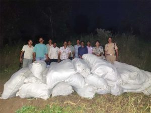 नीमच एवं धार में आठ खेतों में अवैध गांजे की खेती का पर्दाफाश, 34 क्विंटल से अधिक गांजे के हरे पौधे जब्त अनुमानित कीमत 5 करोड़ 89 लाख रुपए