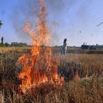 पंजाब को भी पीछे छोड़ने वाले विदिशा में फिर जली पराली, प्रशासन ने की कार्रवाई