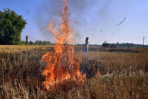 पंजाब को भी पीछे छोड़ने वाले विदिशा में फिर जली पराली, प्रशासन ने की कार्रवाई