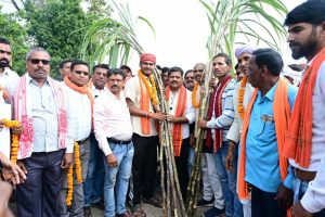 गन्ने का मूल्य 425 रुपये प्रति क्विंटल होने पर किसानों में खुशी, उप मुख्यमंत्री श्री विजय शर्मा को गन्ना भेंटकर किया अभिनंदन