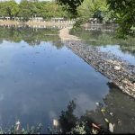 जल प्रदूषण पर NGT सख्त, एमपी समेत तीन राज्यों को देना होगा जवाब; सीवेज प्रबंधन पर मांगी रिपोर्ट