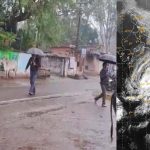 इंदिरा गांधी कृषि विश्वविद्यालय ने जारी की मौसम आधारित कृषि सलाह
