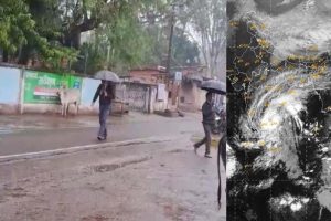 इंदिरा गांधी कृषि विश्वविद्यालय ने जारी की मौसम आधारित कृषि सलाह