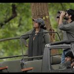 वीरांगना दुर्गावती टाइगर रिजर्व में लघु फिल्म ‘ए डे इन द लैंड ऑफ टाइगर्स’ की गई रिलीज