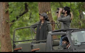 वीरांगना दुर्गावती टाइगर रिजर्व में लघु फिल्म ‘ए डे इन द लैंड ऑफ टाइगर्स’ की गई रिलीज